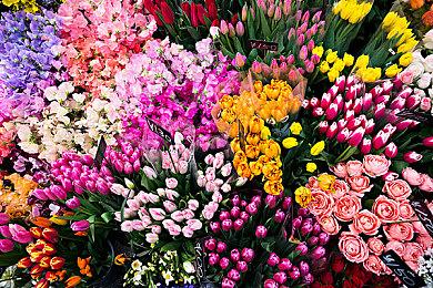 九番队队长东仙要参战《死神：魂魄觉醒》